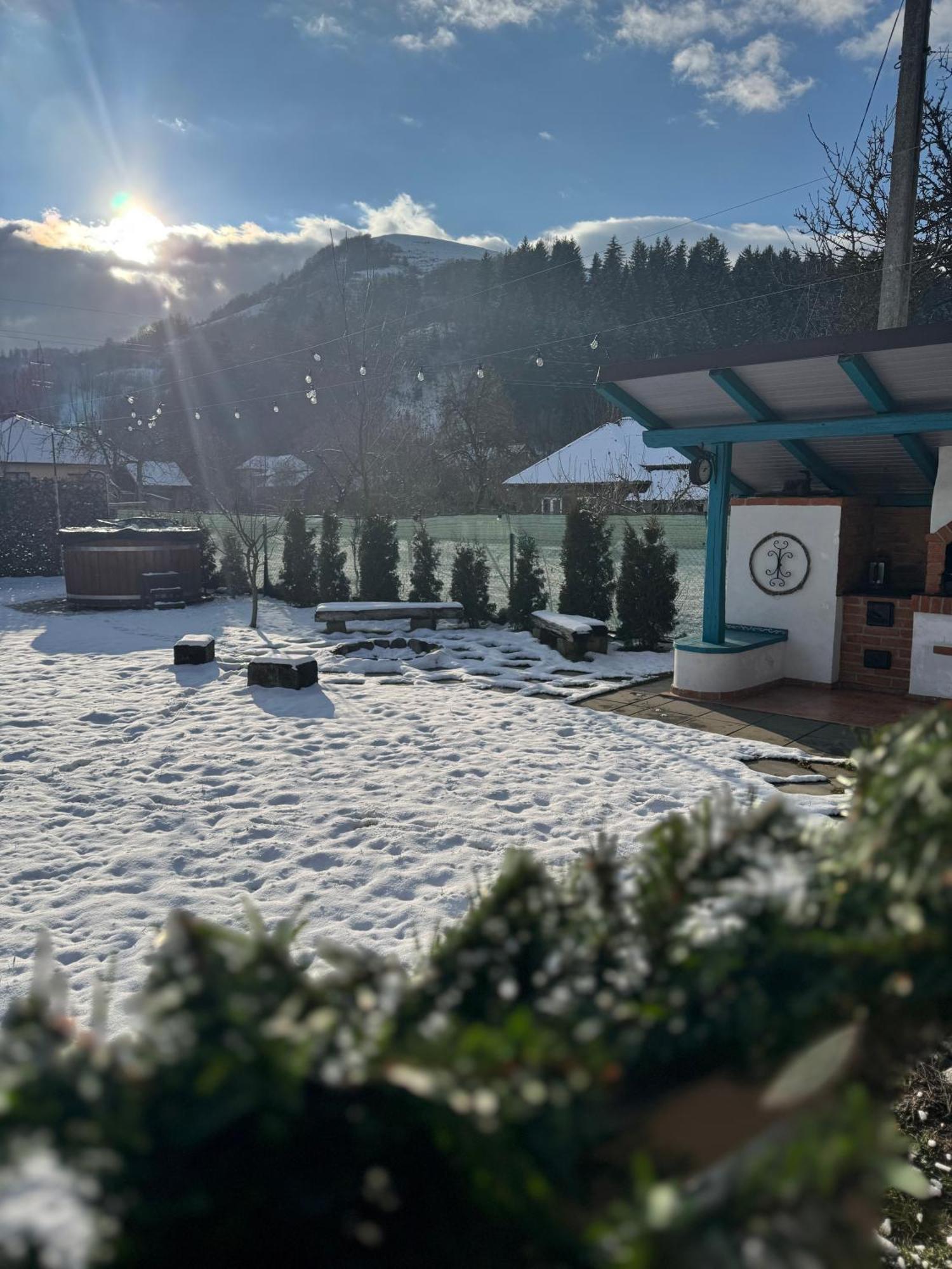 Chalet Bora Вишеу де Жос Екстериор снимка