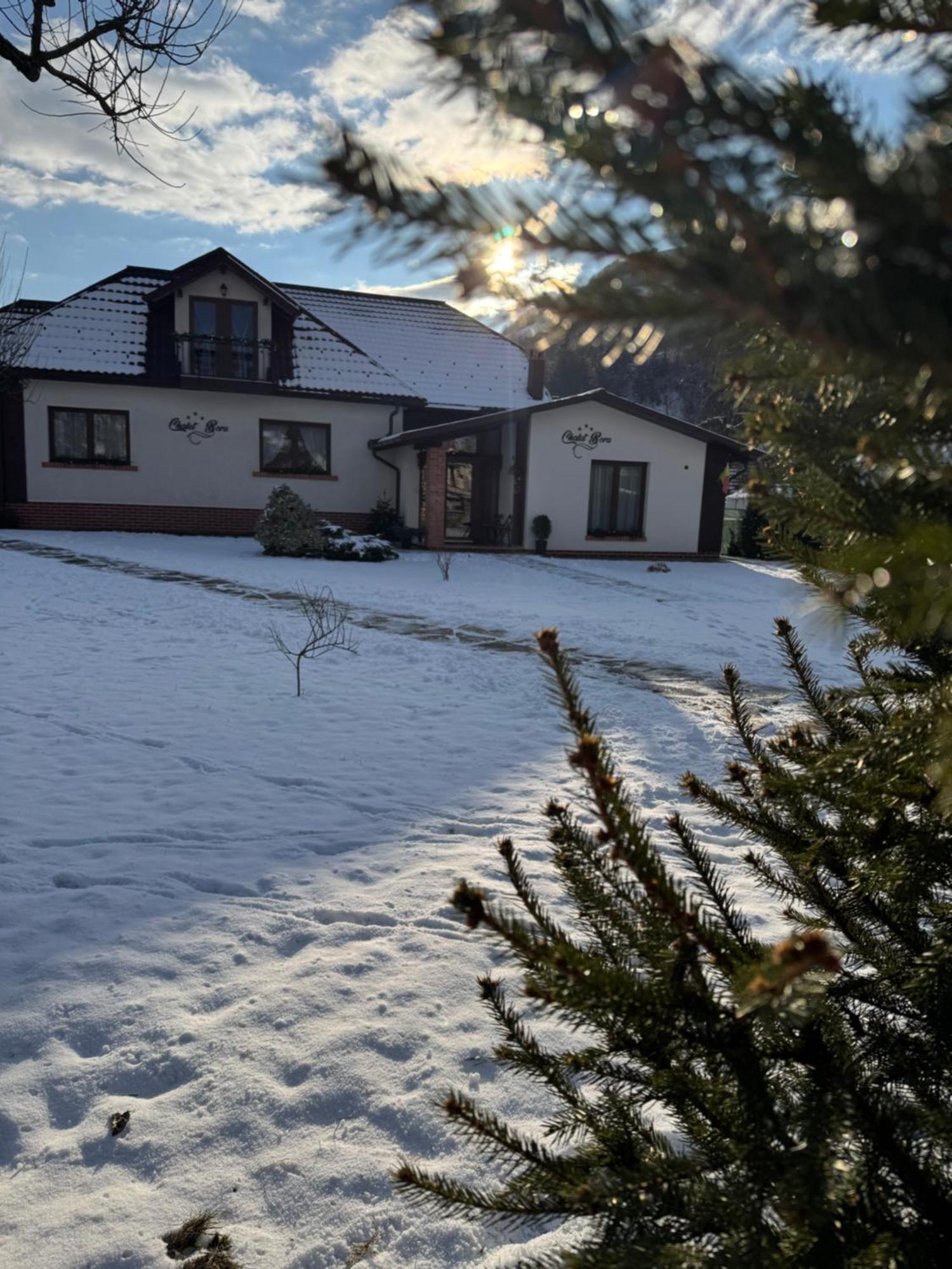 Chalet Bora Вишеу де Жос Екстериор снимка