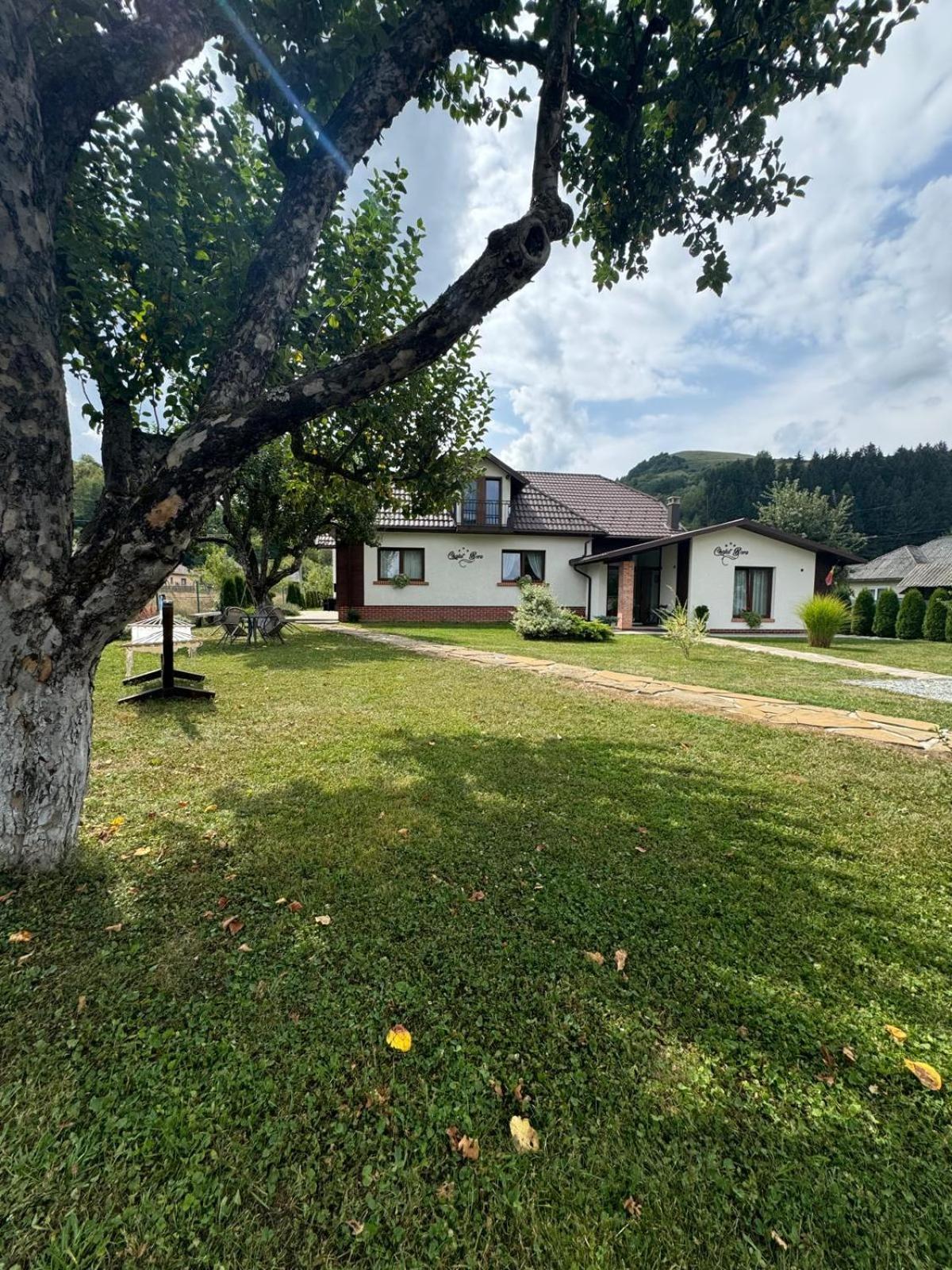 Chalet Bora Вишеу де Жос Екстериор снимка