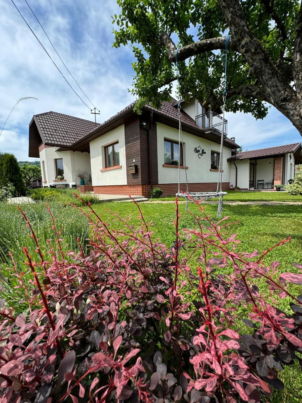 Chalet Bora Вишеу де Жос Екстериор снимка