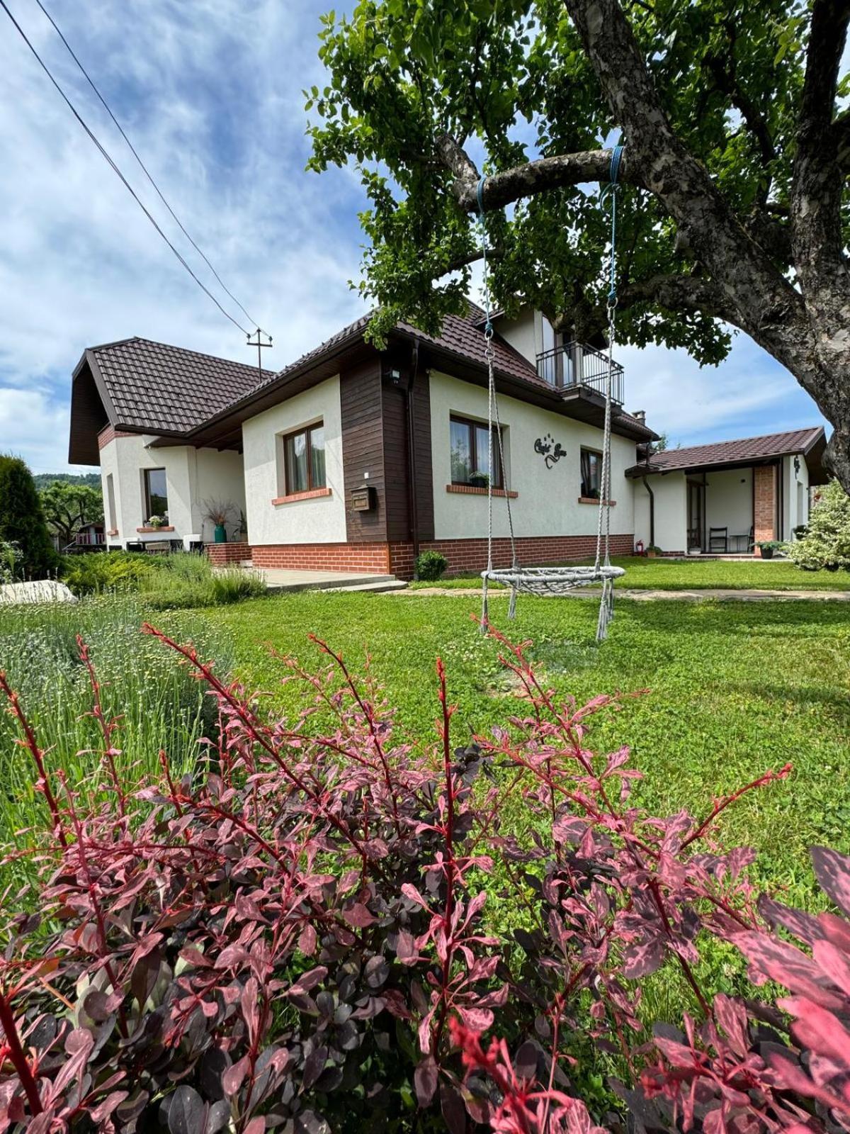 Chalet Bora Вишеу де Жос Екстериор снимка
