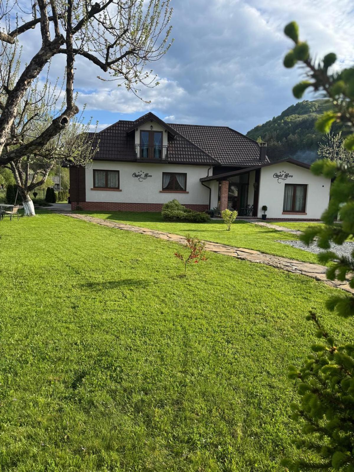 Chalet Bora Вишеу де Жос Екстериор снимка