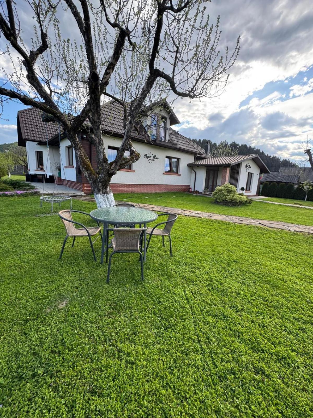 Chalet Bora Вишеу де Жос Екстериор снимка